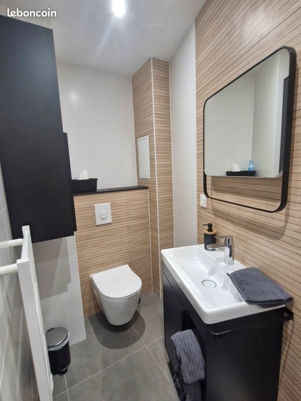 Appartement à louer, 18m², Metz