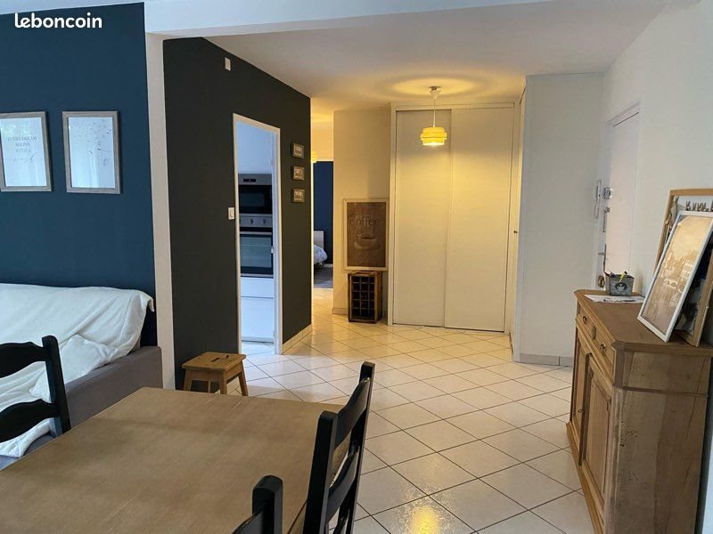 Appartement à louer, 55m², Saint-Martin-la-Plaine