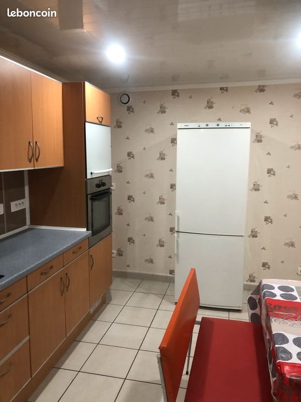 Appartement à louer, 50m², Veauche