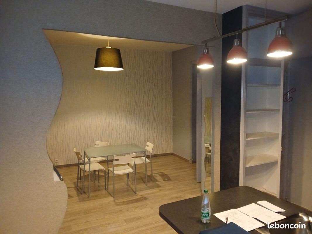 Appartement à louer, 49m², Roanne
