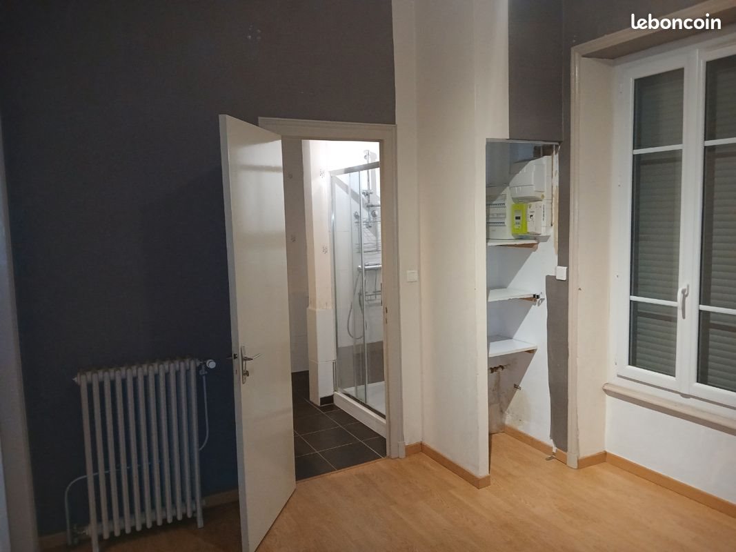Appartement à louer, 49m², Roanne