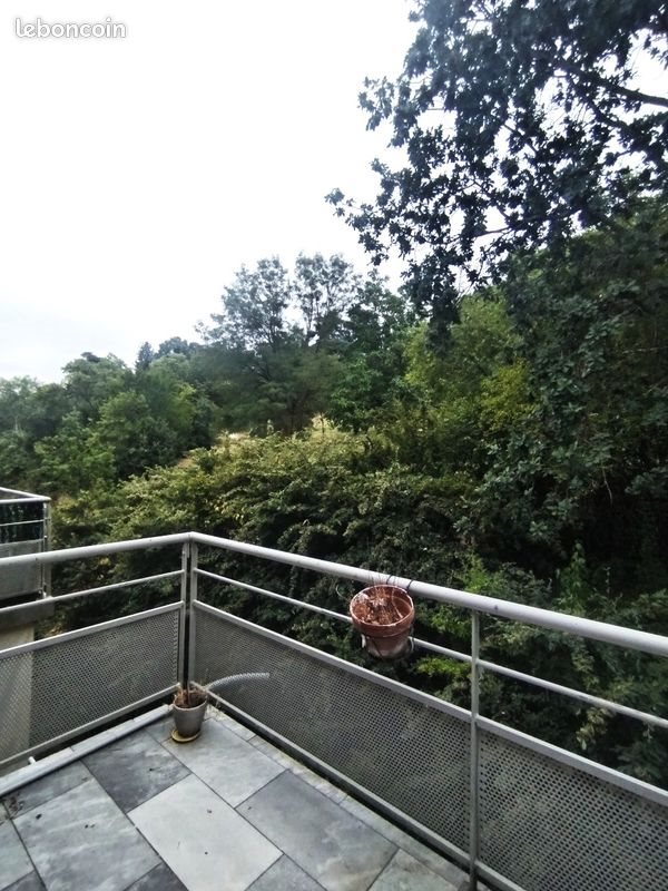 Appartement à louer, 49m², Auch