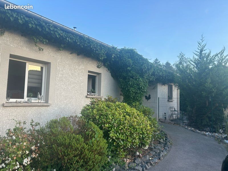 Maison à vendre, 110m², Saint-Dié-des-Vosges