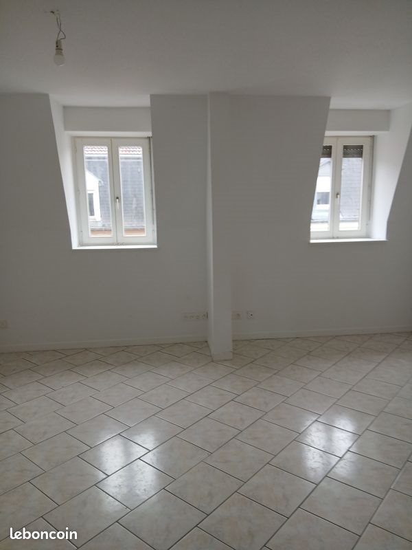 Appartement à louer, 58m², Mulhouse