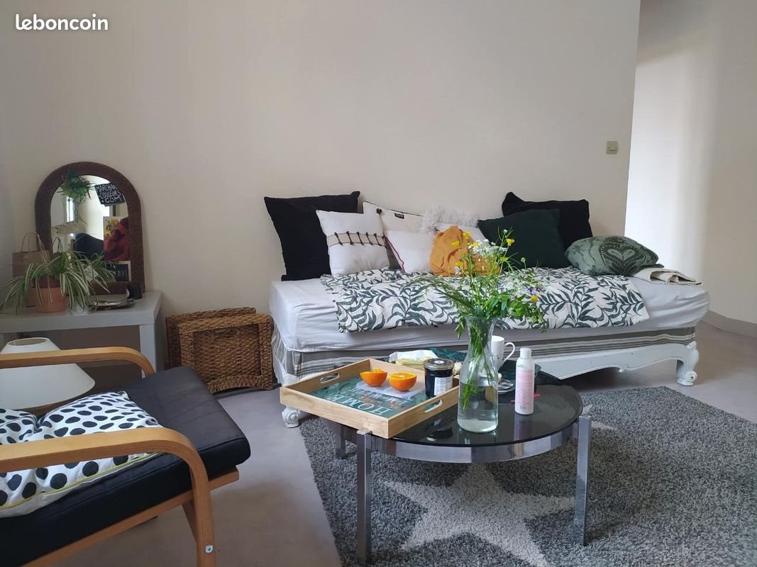 Appartement à louer, 50m², Dole