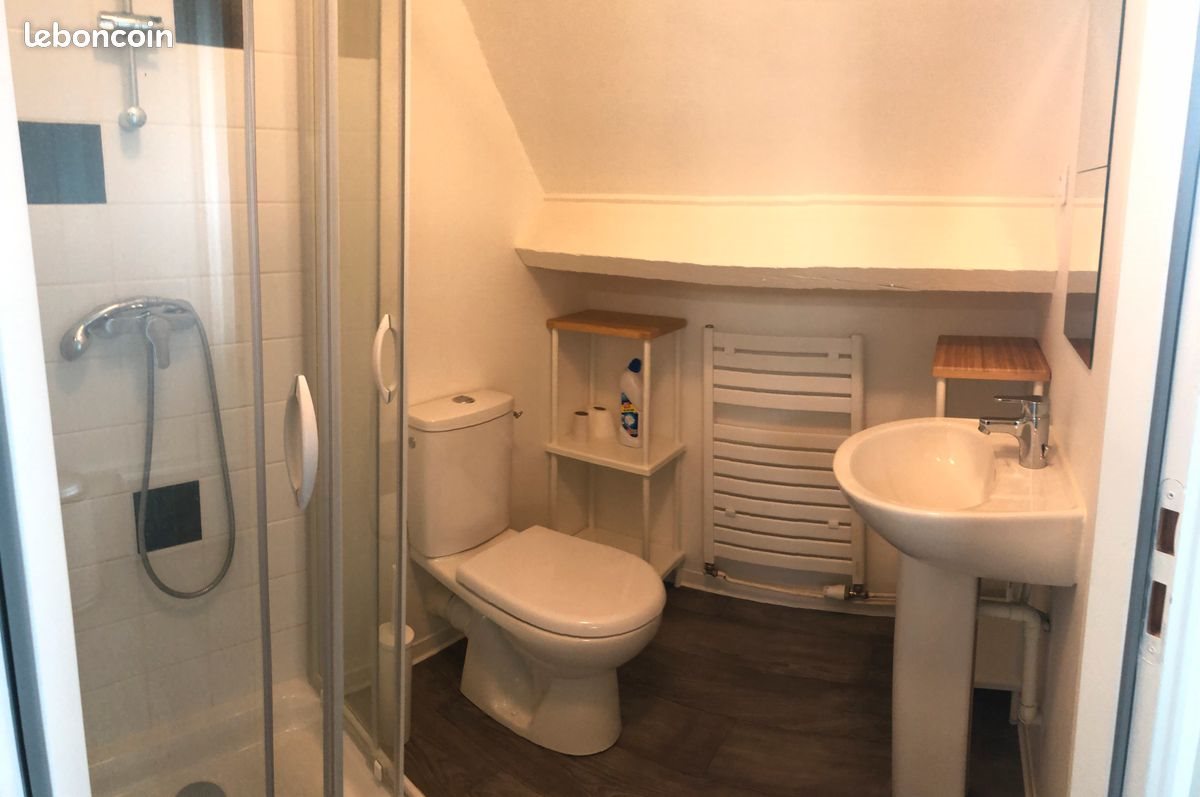 Appartement à louer, 31m², Lille