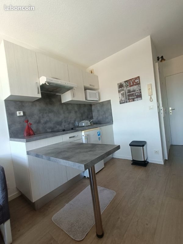 Appartement à louer, 18m², Pau