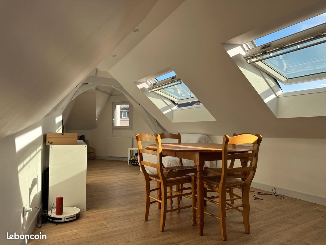 Appartement à louer, 50m², Angers