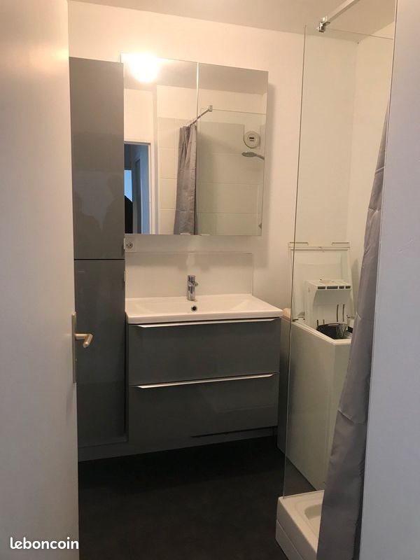 Appartement à louer, 44m², Reims