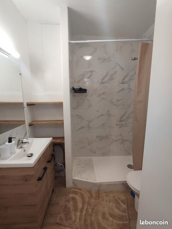Appartement à louer, 41m², Roanne