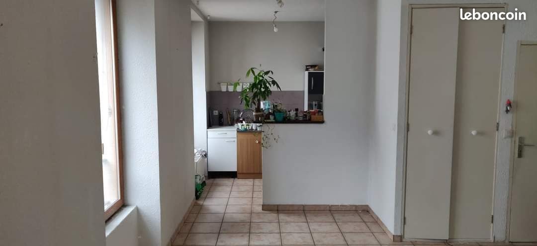 Appartement à vendre, 42m², Grenoble