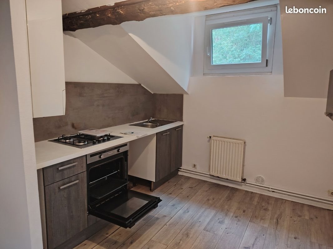 Appartement à louer, 60m², Saint-Étienne