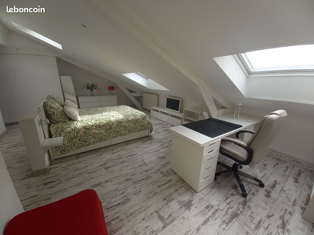 Appartement à louer, 160m², Nancy