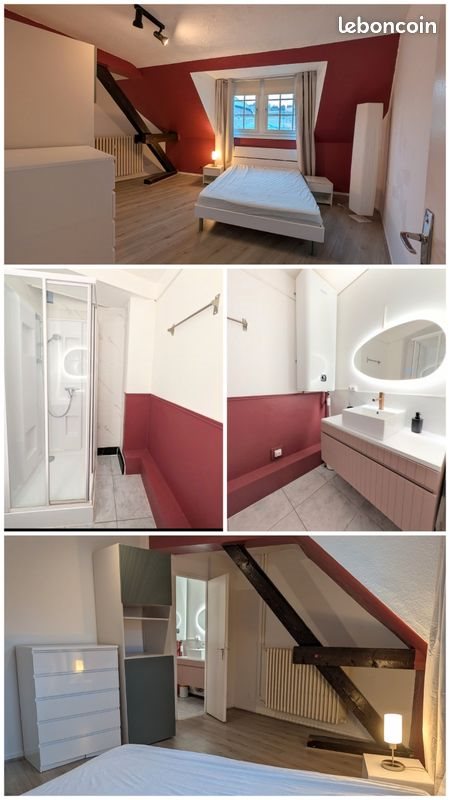 Appartement à louer, 48m², Metz