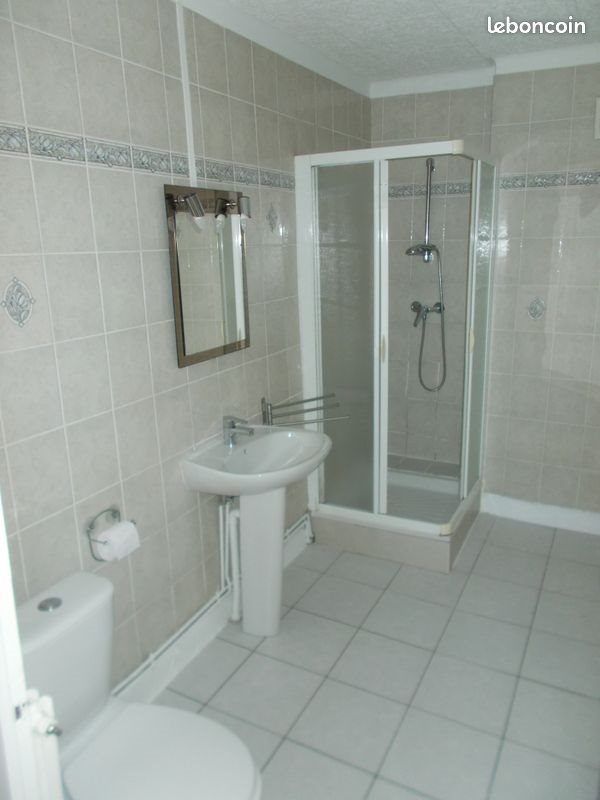Appartement à vendre, 46m², Saint-Etienne
