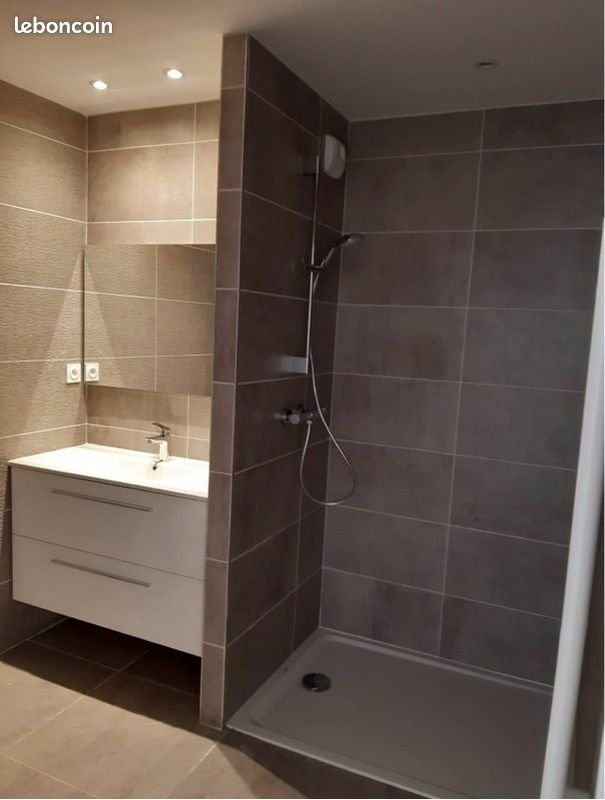 Appartement à louer, 43m², Villeurbanne