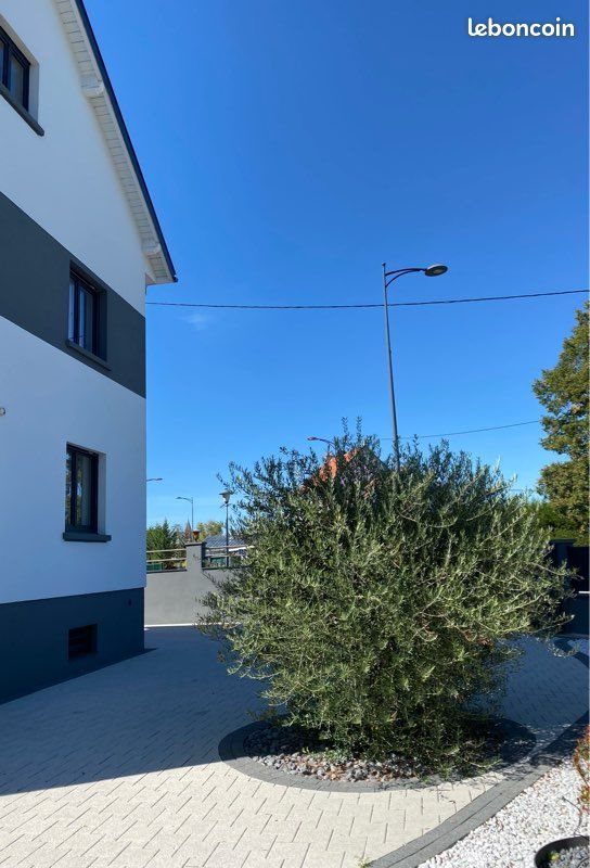 Maison à vendre, 107m², Wittelsheim