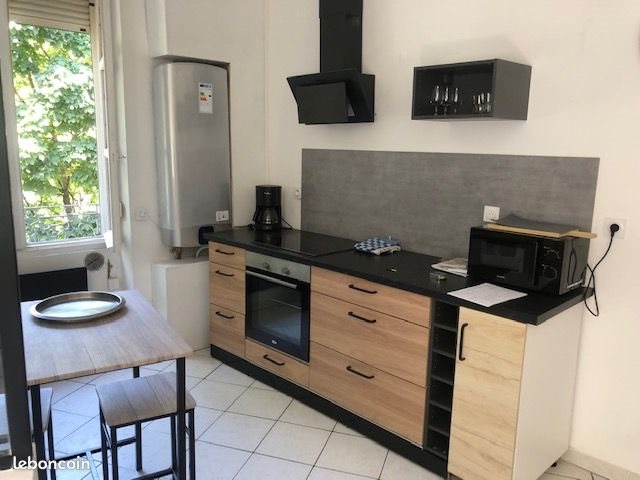 Appartement à louer, 50m², Lyon 3ème