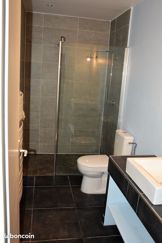 Appartement à louer, 47m², Sathonay-Camp