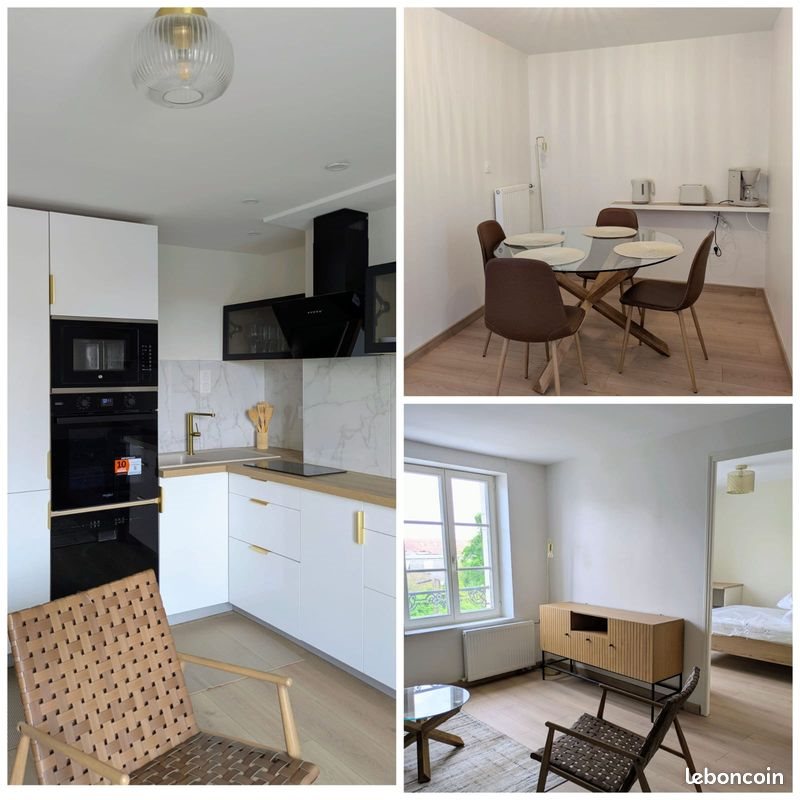 Appartement à louer, 50m², Nancy