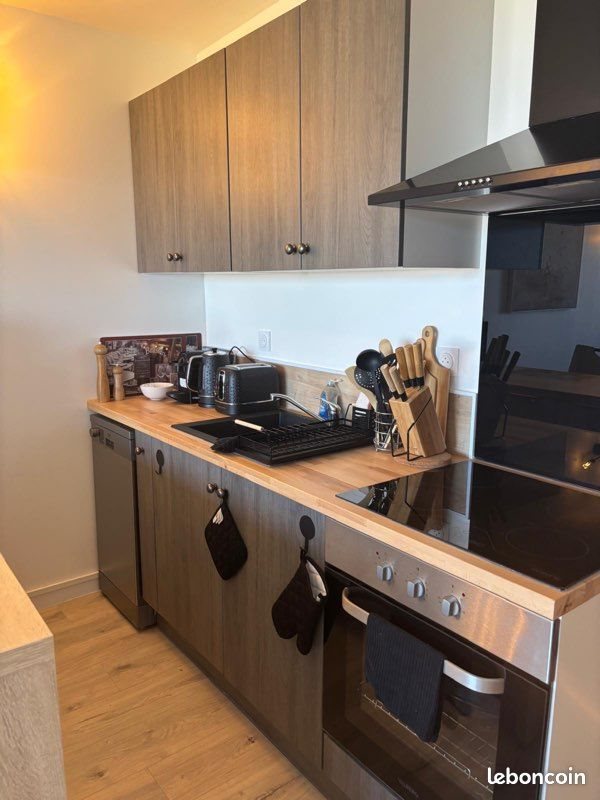 Appartement à louer, 45m², Saint-Cyprien