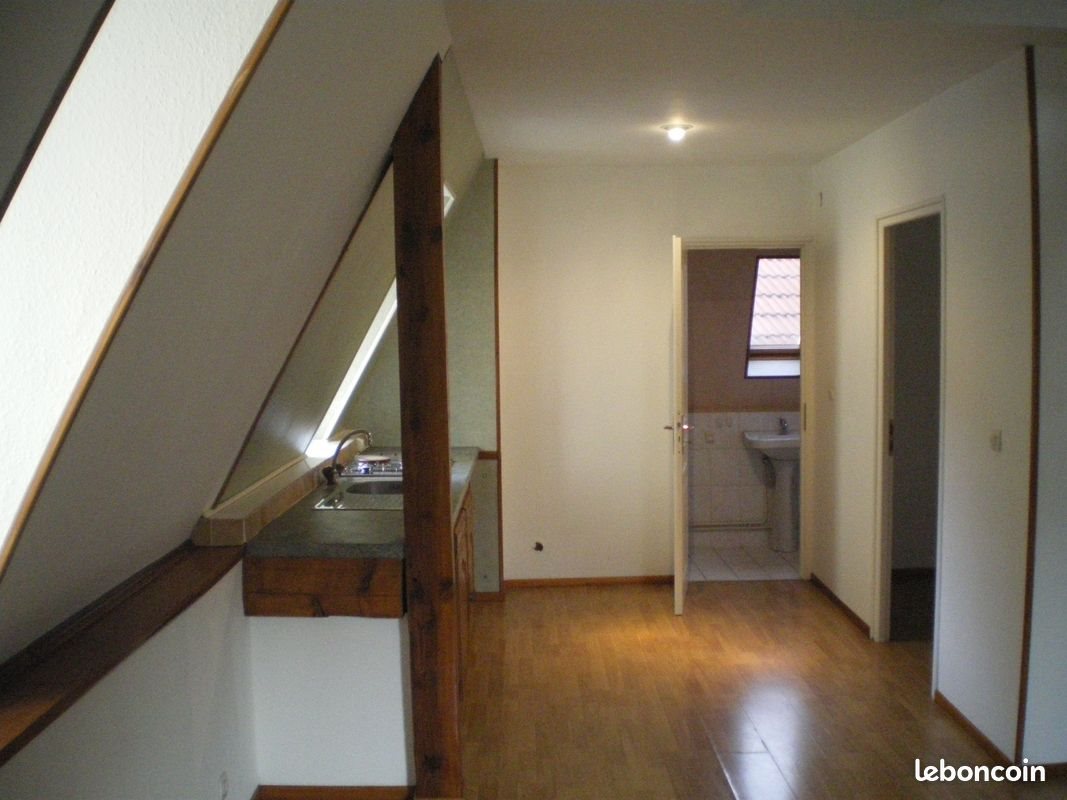 Appartement à louer, 48m², Colmar