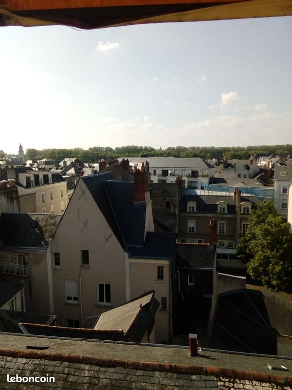 Appartement à vendre, 23m², Angers