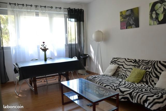 Appartement à louer, 60m², Villeurbanne