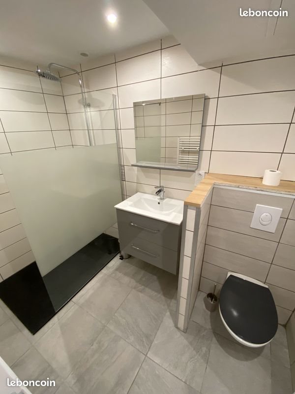 Appartement à louer, 38m², Saint-Etienne