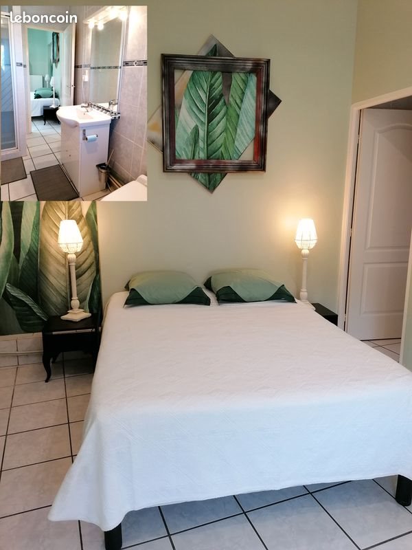 Appartement à louer, 30m², Saint-Étienne