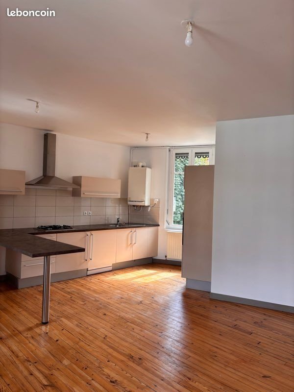 Appartement à louer, 46m², Saint-Étienne
