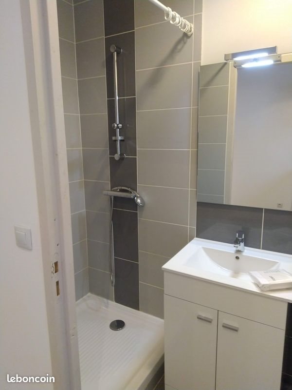 Appartement à louer, 20m², Saint-Etienne