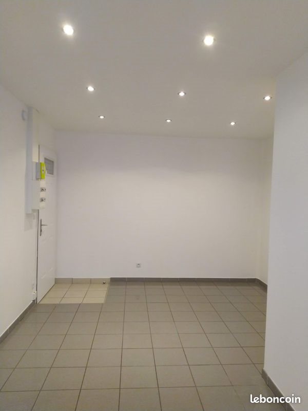 Appartement à louer, 20m², Saint-Etienne