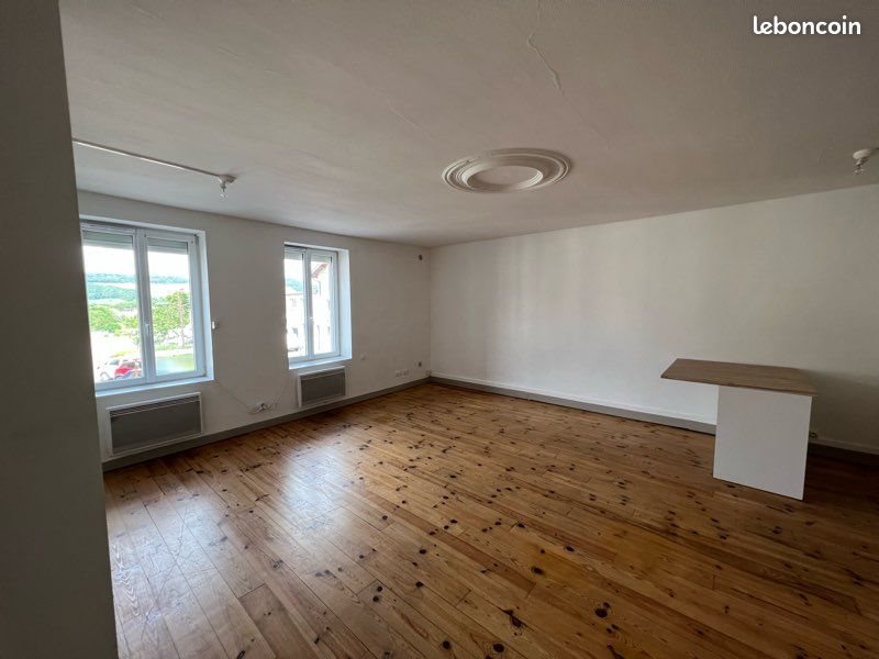 Appartement à louer, 49m², Belleville
