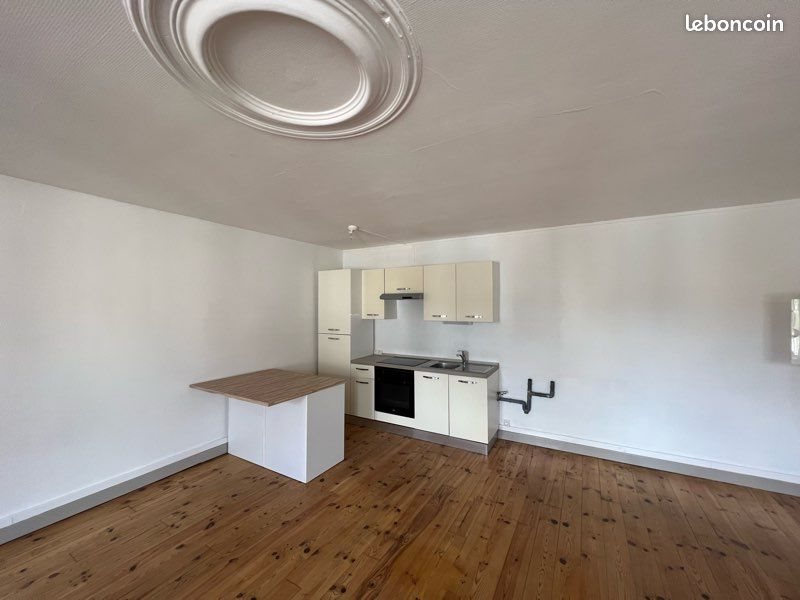 Appartement à louer, 49m², Belleville