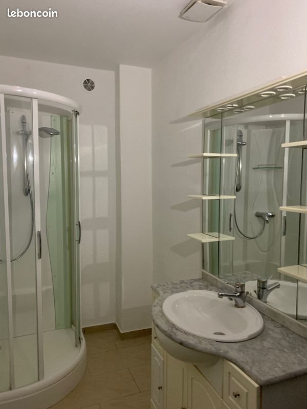 Appartement à louer, 46m², Sarralbe