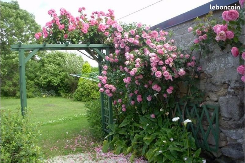Maison à louer, 57m², Plouguerneau