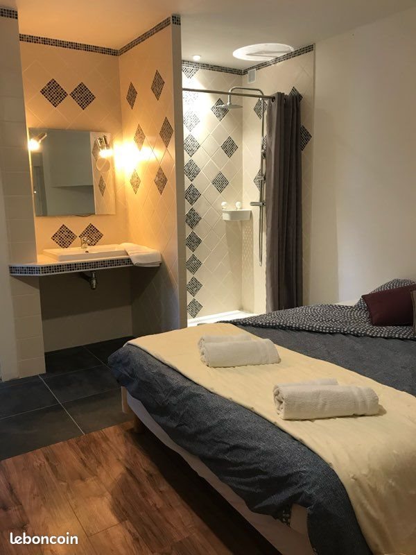 Maison à vendre, 410m², Theillay