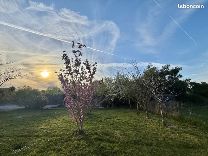 Maison à vendre, 62m², Le Controis-en-Sologne