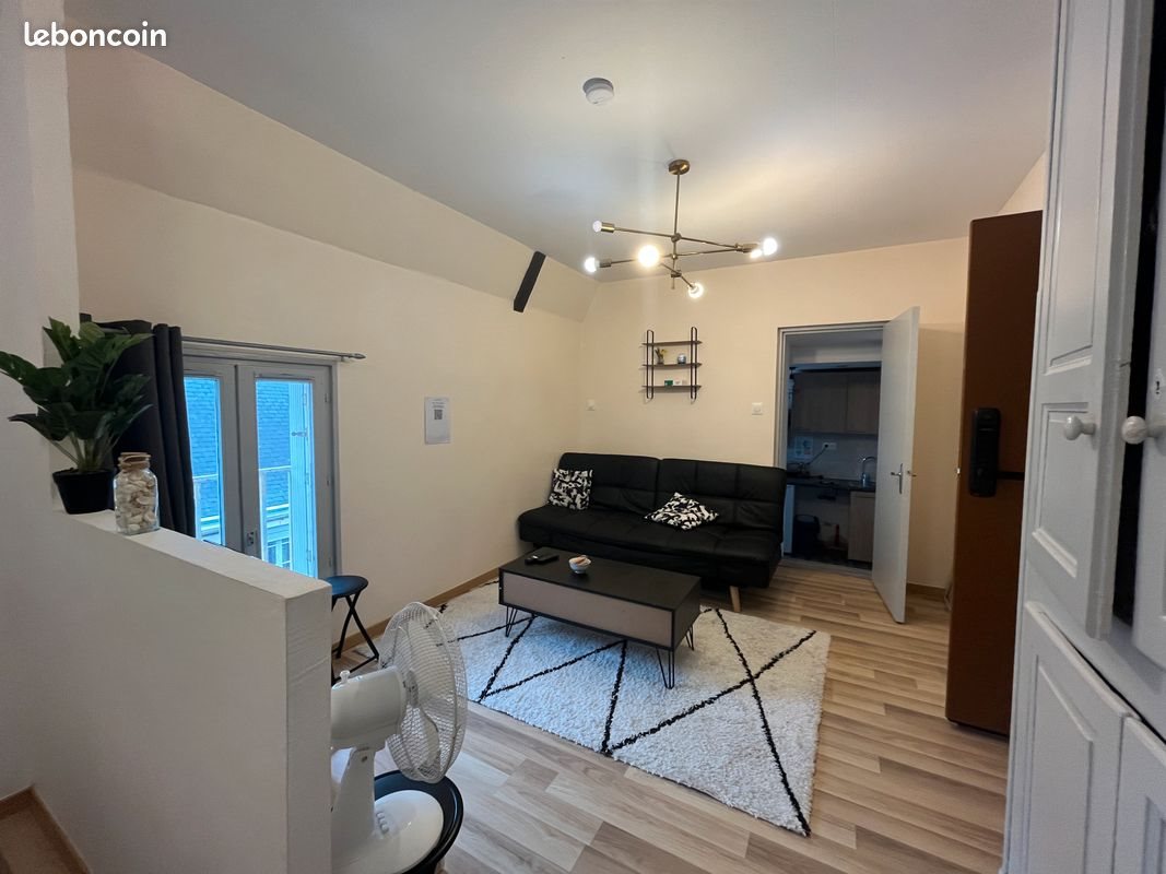 Appartement à louer, 28m², La Flèche