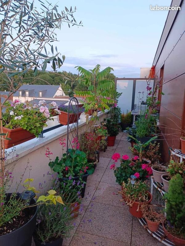 Appartement à louer, 62m², Saint-Rémy-l'Honoré