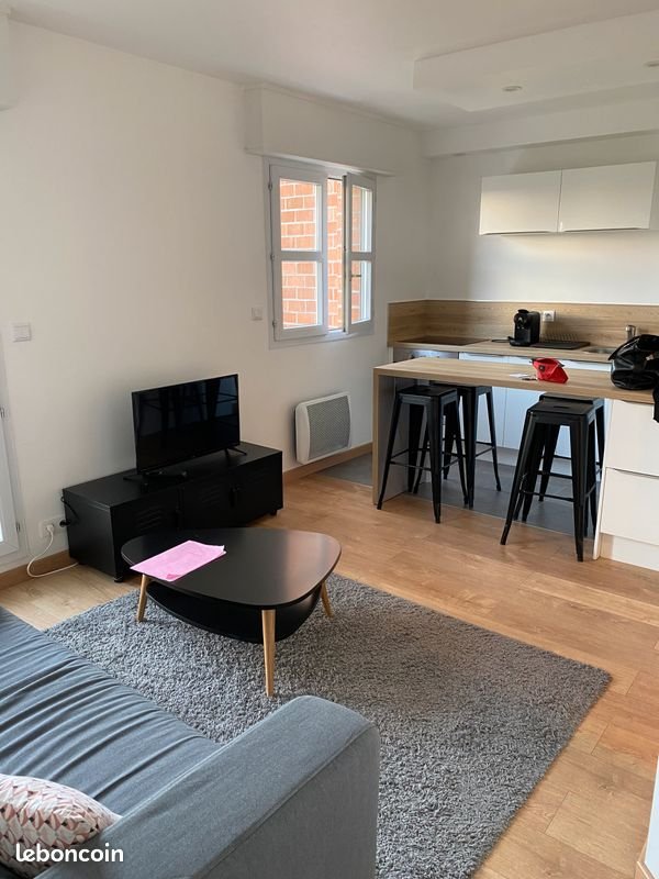 Appartement à louer, 36m², Saint-André-lez-Lille