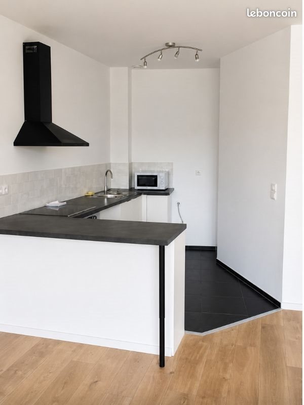 Appartement à louer, 57m², Tourcoing