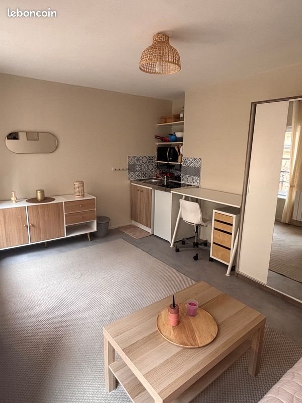 Appartement à louer, 19m², Saint-Etienne