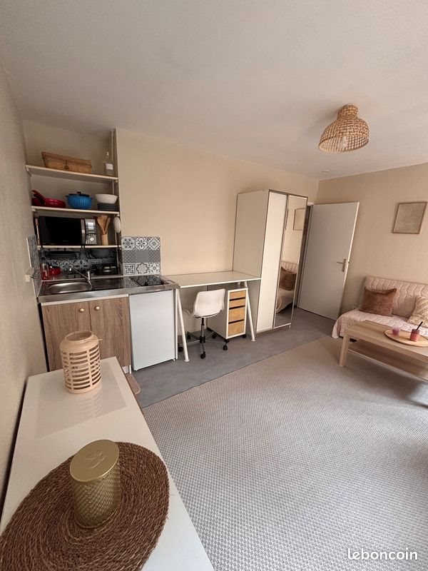 Appartement à louer, 19m², Saint-Etienne