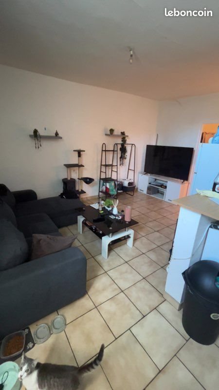 Appartement à louer, 47m², Fourchambault
