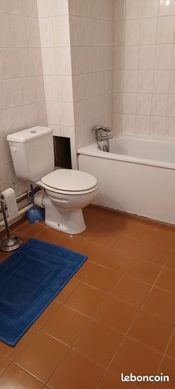 Appartement à louer, 25m², Villejuif