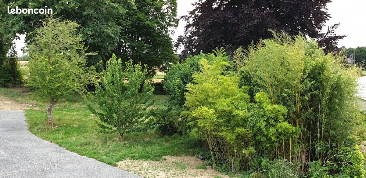 Appartement à louer, 17m², Saint-Grégoire