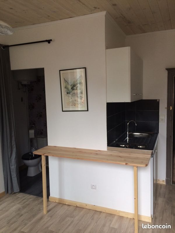 Appartement à louer, 16m², Albi
