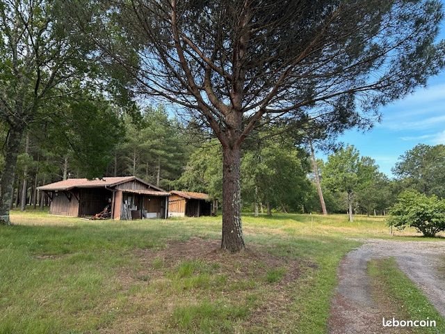 Maison à vendre, 150m², Biscarrosse